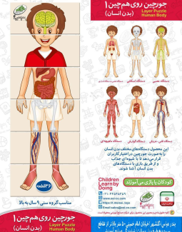 جورچین روی هم چین (بدن انسان)