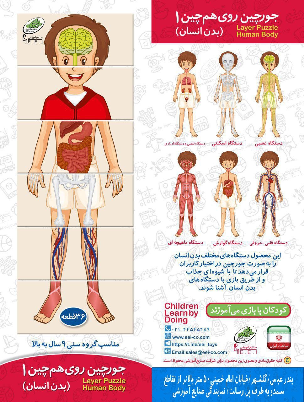 جورچین روی هم چین (بدن انسان)